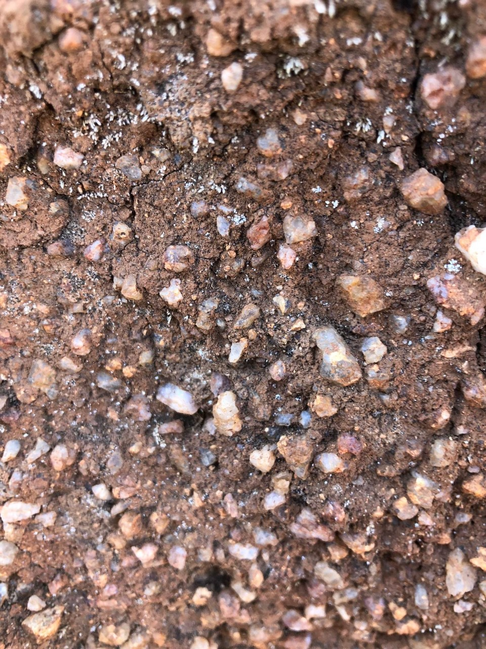 DAKEL Soil